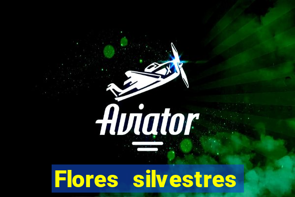 Flores silvestres brasileiras 25